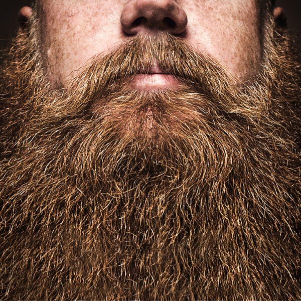 Rowan Tree Herbal-Infused Beard Oil - Image 2